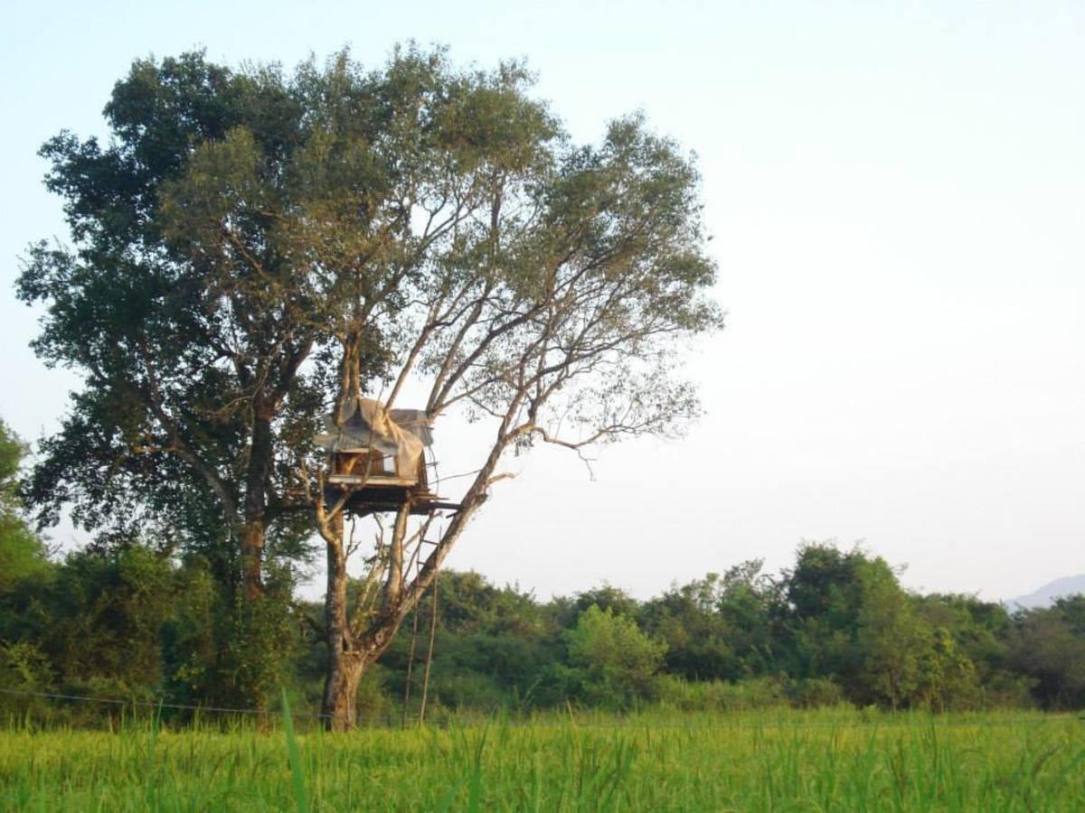 Castle Rock Sigiriya Hotel Kibissa Ngoại thất bức ảnh