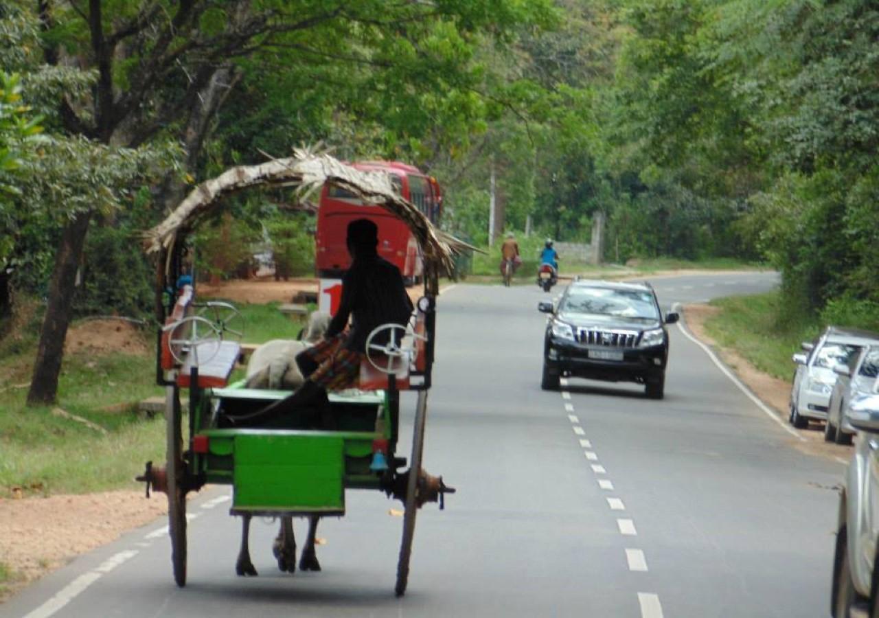 Castle Rock Sigiriya Hotel Kibissa Ngoại thất bức ảnh