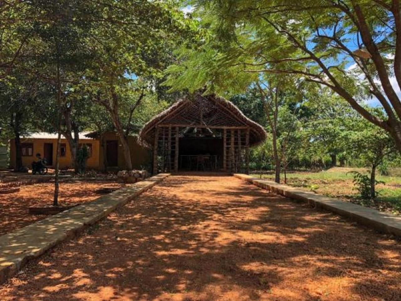 Castle Rock Sigiriya Hotel Kibissa Ngoại thất bức ảnh